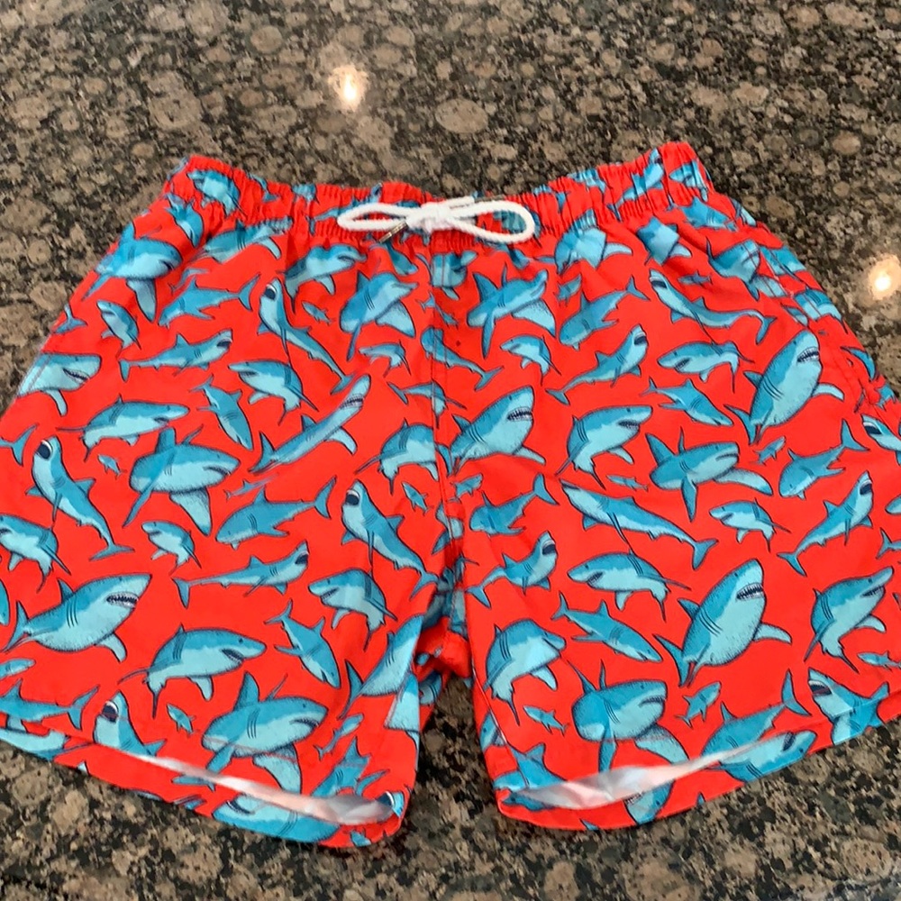 Men’s small shark swimsuit